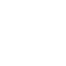 Boston Link